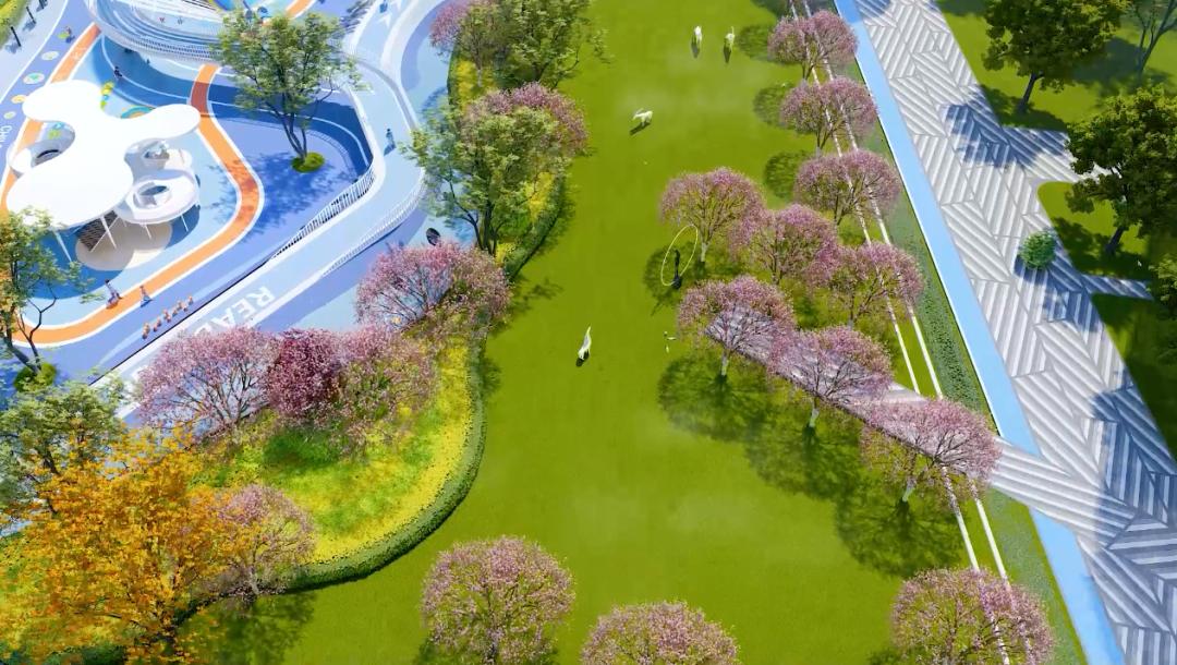 东莞周屋稻田网红打卡地,东莞室内网红打卡地儿童