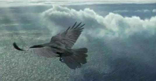 庄子其名为鲲,庄子逍遥游北冥有鱼