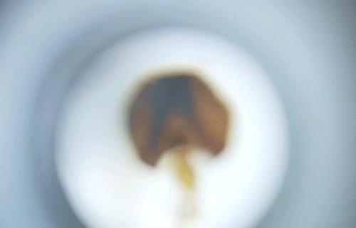 挖到小汽车奇趣玩具,挖到宝的玩具大全