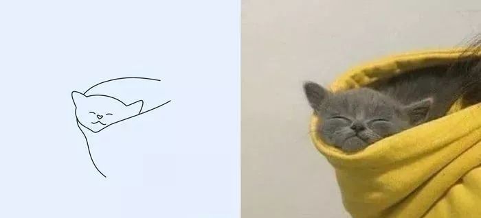 你和大触绘画的区别：一看就会一画就废，这波动物简笔画太形象了