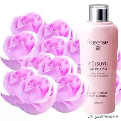 十种不能带回家的旅游纪念品,不能带的旅行纪念品有哪些