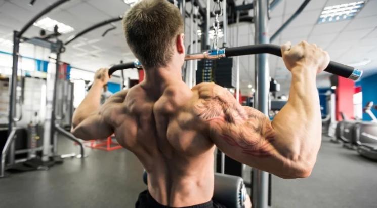 3个背部训练,3个背部训练动作