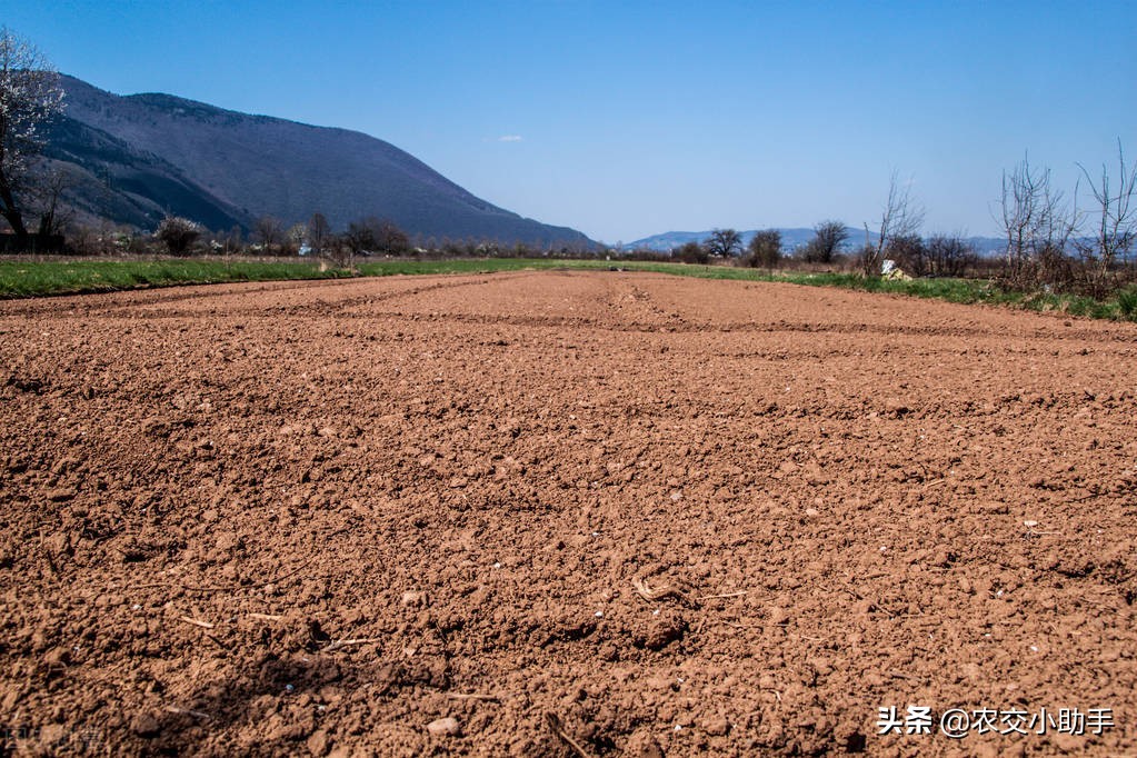 2021征地地上附着物补偿标准,2024农田征收补偿标准