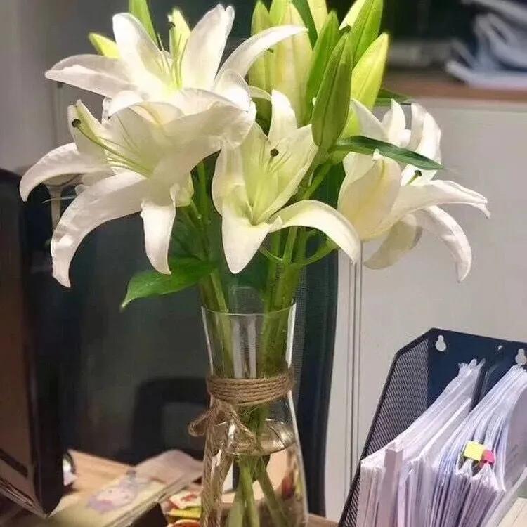 香水百合鲜切花云南鲜花基地,什么颜色的百合最好养活