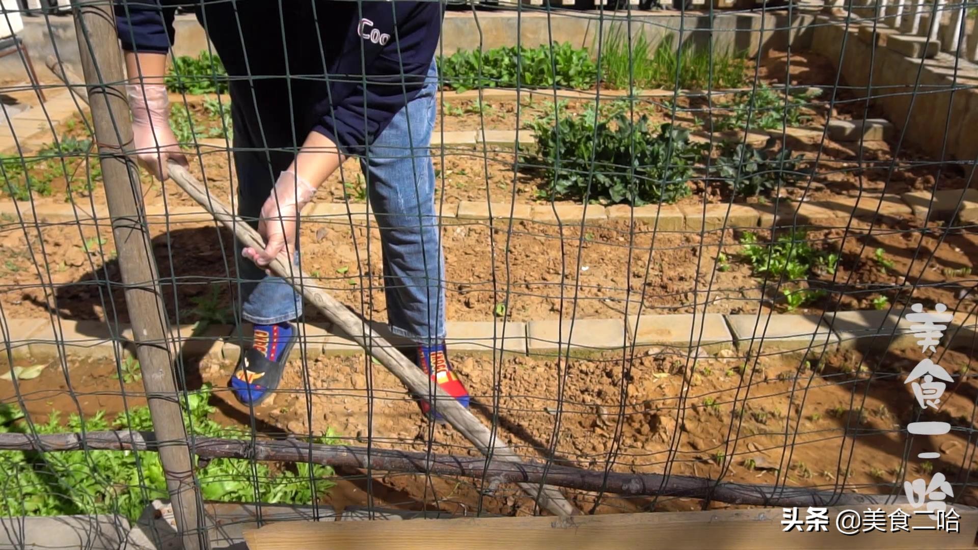 豆沙馅太软怎么做,豆沙馅怎么做才软又好吃