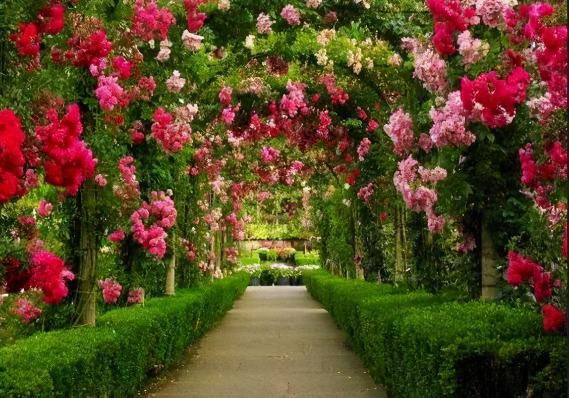 布查德花园的秋冬季,全球最美花园布查特花园