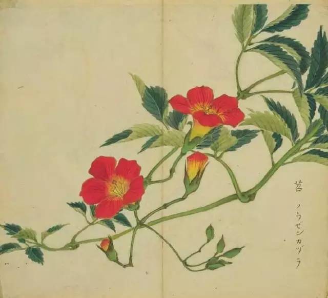 五千年来最美的20首诗,100首美到窒息的诗句