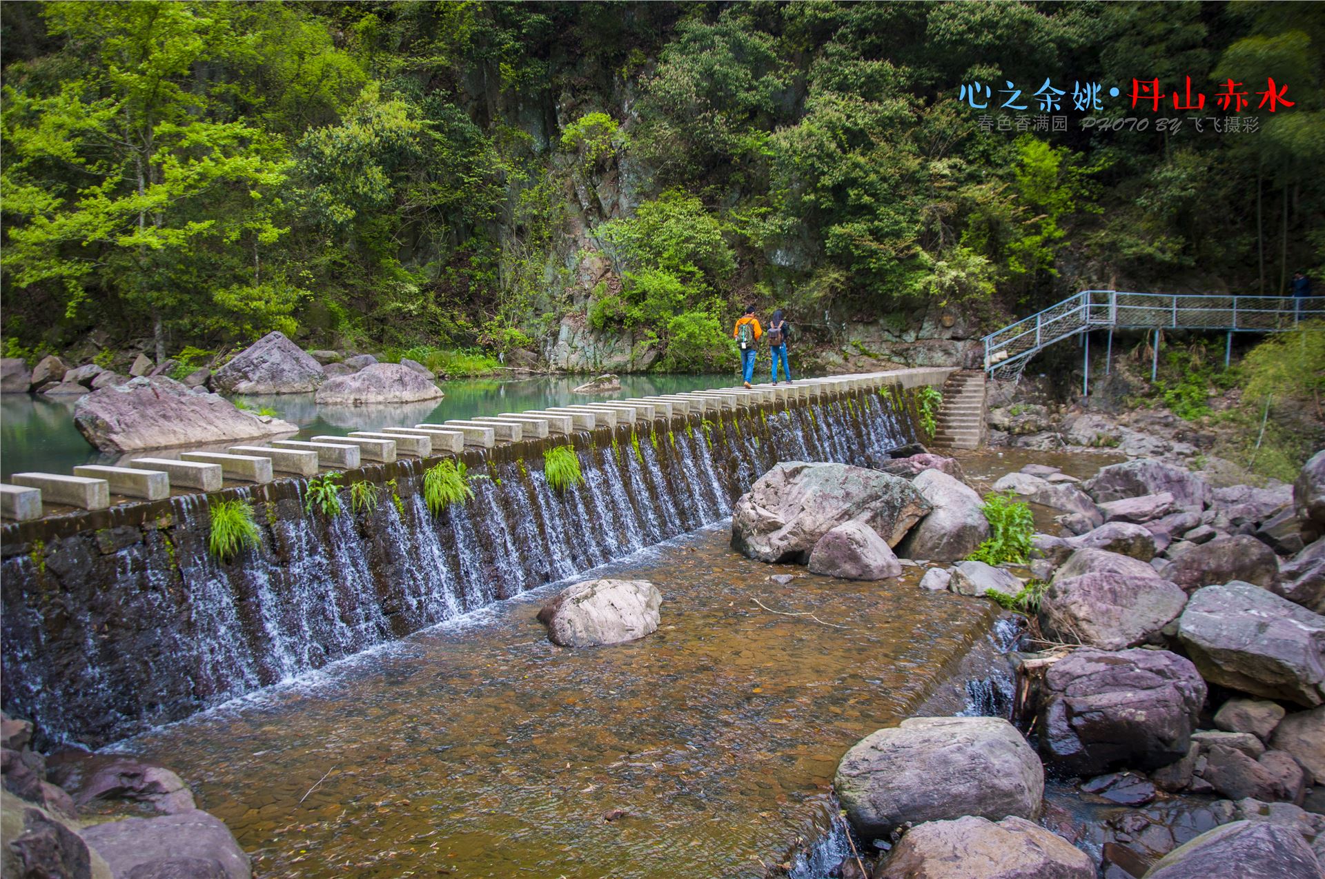 丹山赤水的老柿林景区,丹山赤水柿林古村