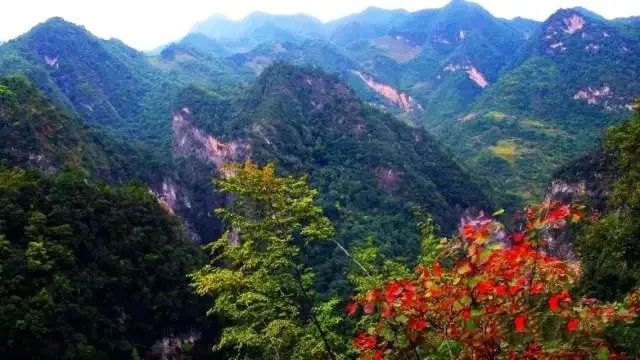 西安自驾秦岭秋色最好的地方,西安自驾一日游的绝佳去处秦岭