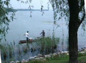 电鱼被抓到会怎么处理,电鱼被警察抓到会有什么事