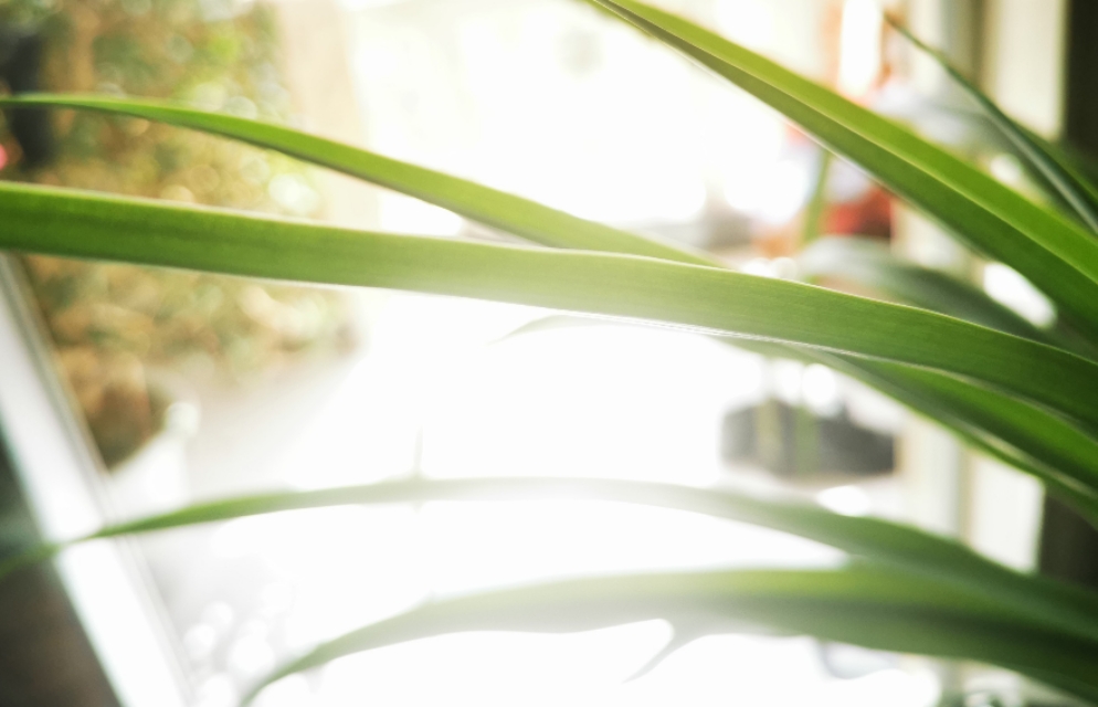 人教版中考成语题库,人教版初中语文成语选择题及答案