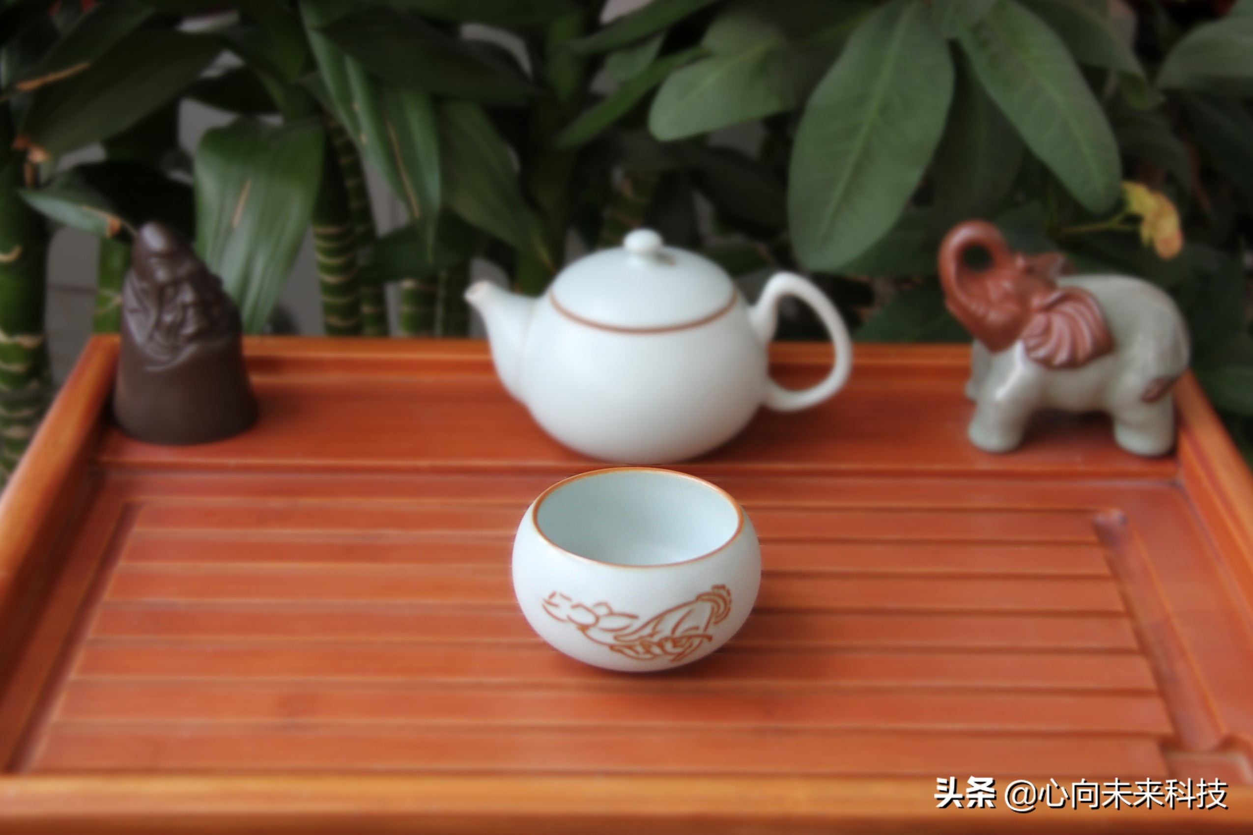 汝瓷新手入坑,汝瓷个人喝茶最实用的茶具
