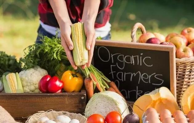 未来十年农业现代化,中国有机农业未来发展前景