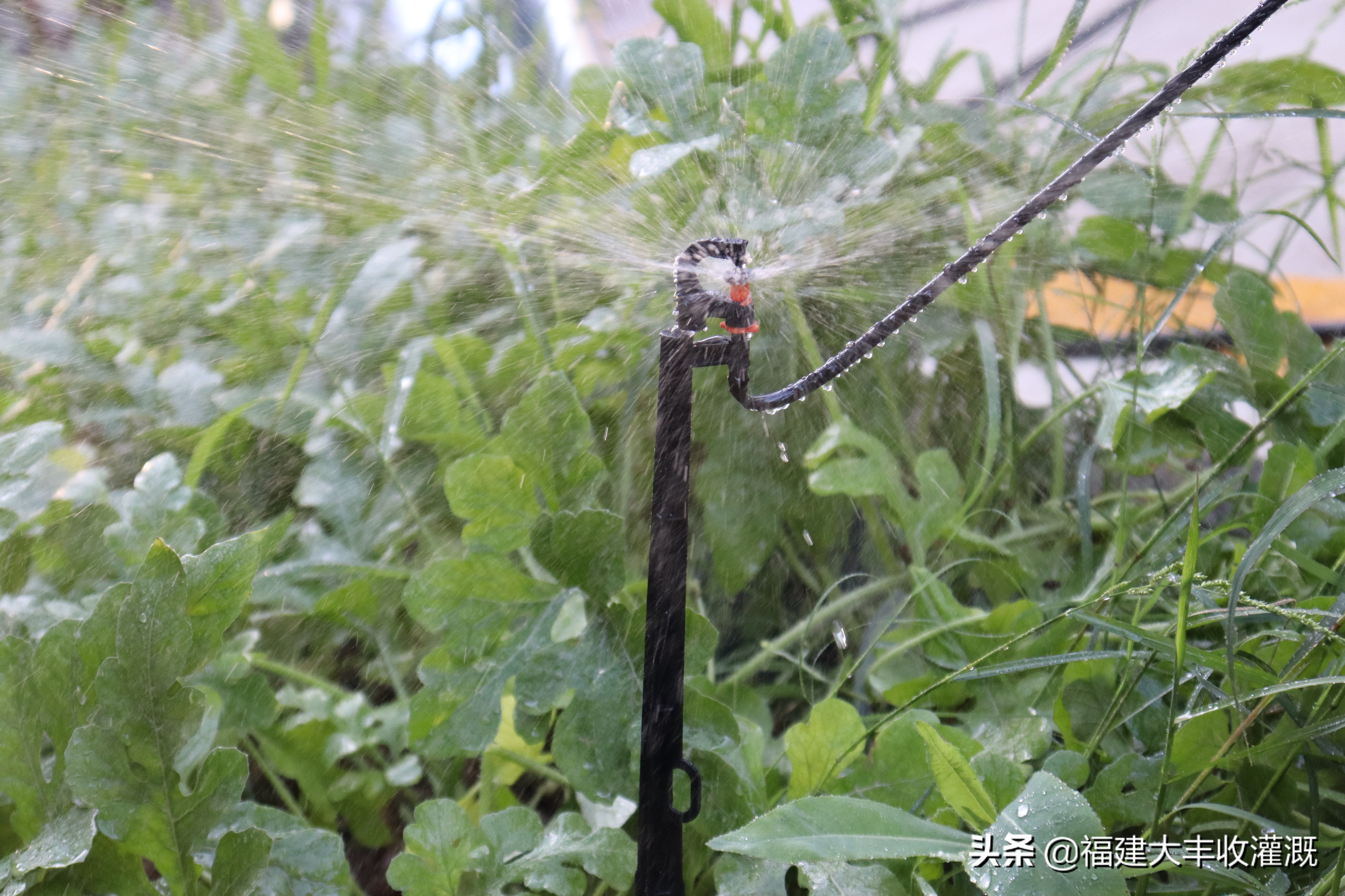 田间灌溉喷灌喷头,滴灌和喷灌微喷头