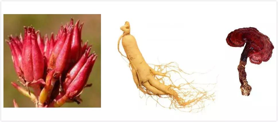 最近流行的“适应原成分”护肤品，会是国货赶超日韩的新机会吗？