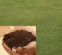 女明星都在打的美容针,明星都打美容针吗