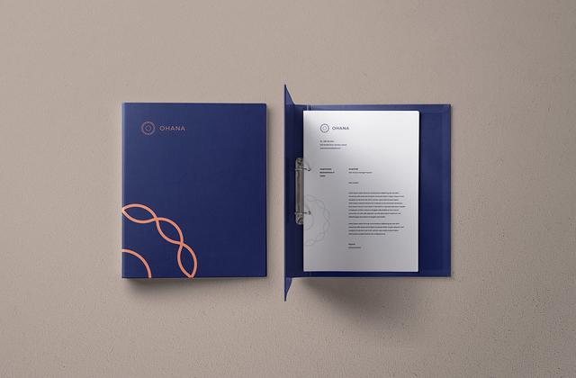 鍦颁骇vi璁捐搴旂敤,涓紡鍦颁骇vi璁捐