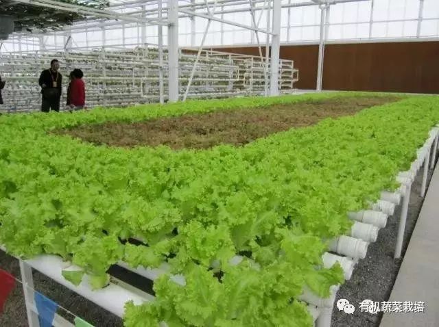 有机生态无土栽培原理与技术,无土栽培知识