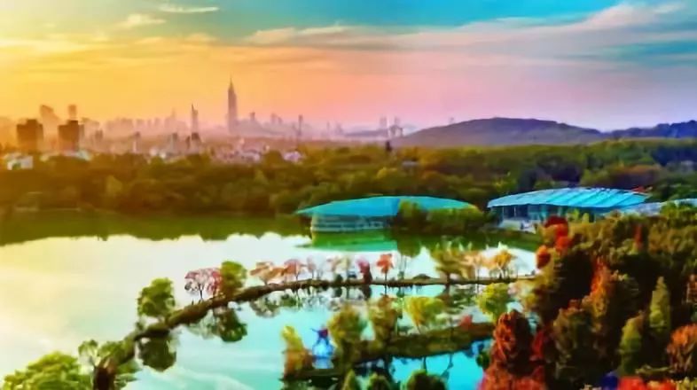 江宁最新招生,江宁2020年招生政策