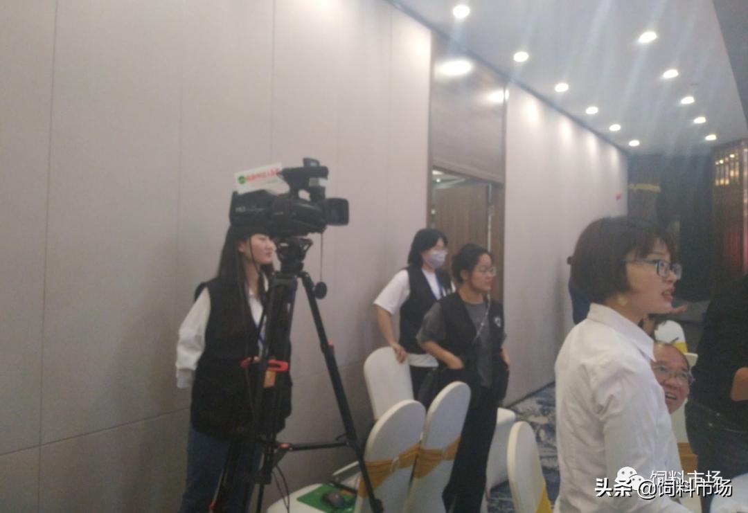 山东活力集团青岛,活力集团新品发布会