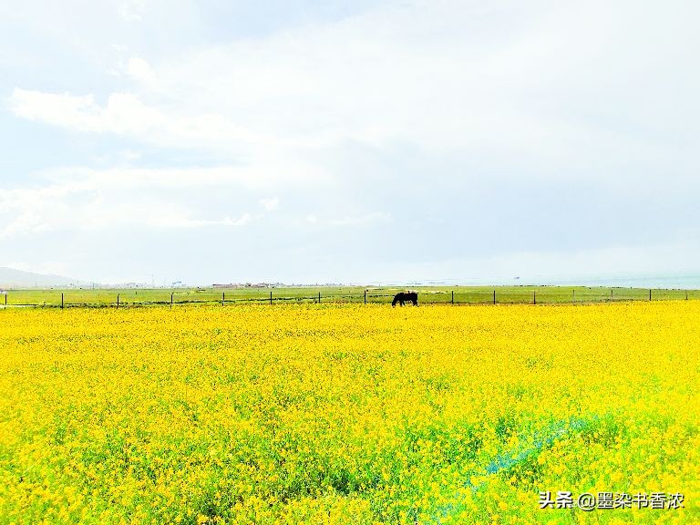 青海湖茶卡盐湖一日游跟团,青海湖茶卡盐湖敦煌