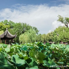 苏州旅游必去的景点排行榜第一名,苏州免费景点排名榜前十名有哪些