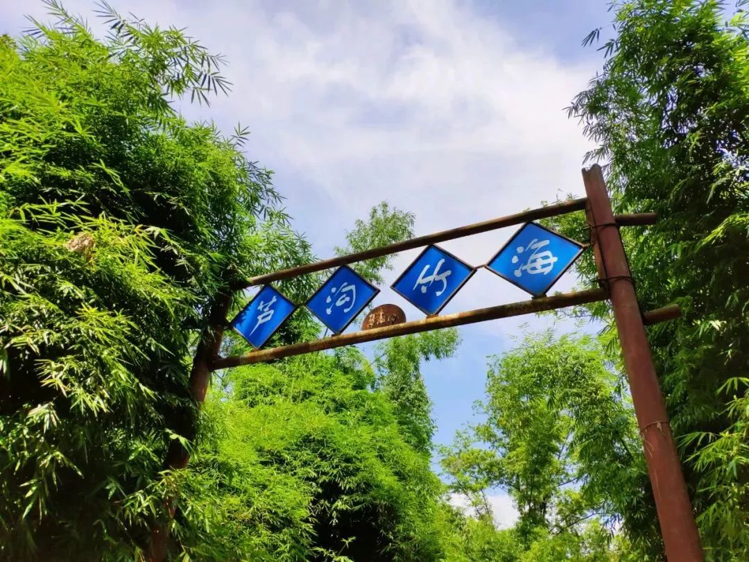 成都出发，一路向西的“旅行列车”年底开通！沿途好多……