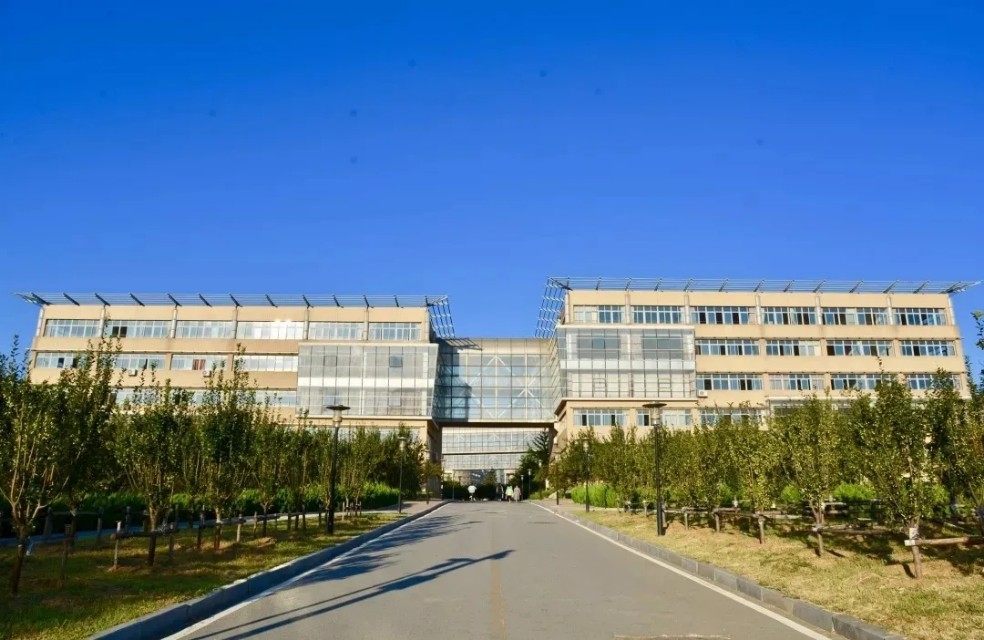 向往的大外|带你一起看大外