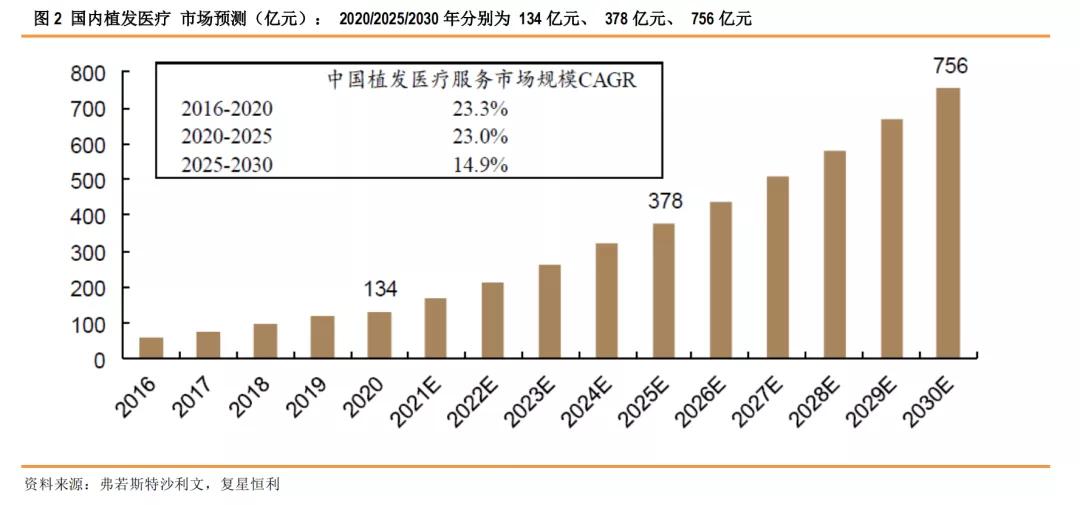 星研究,医疗美容植发四大龙头