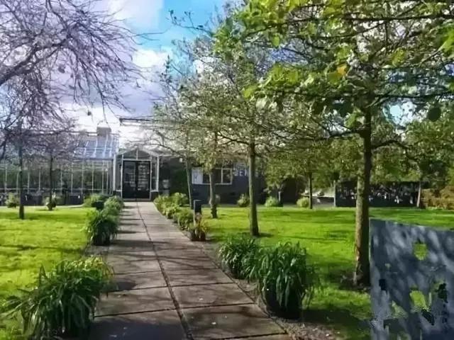 田园农场农庄,空绿田园农场餐厅