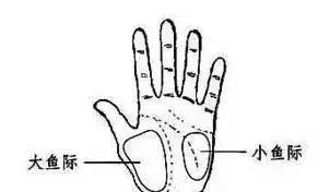 三高拍打健身操30分钟完整版,拍打操降三高养气血