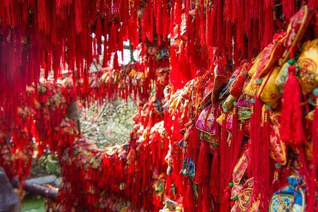 成都网红旅行攻略,四川成都新津最新网红打卡景点