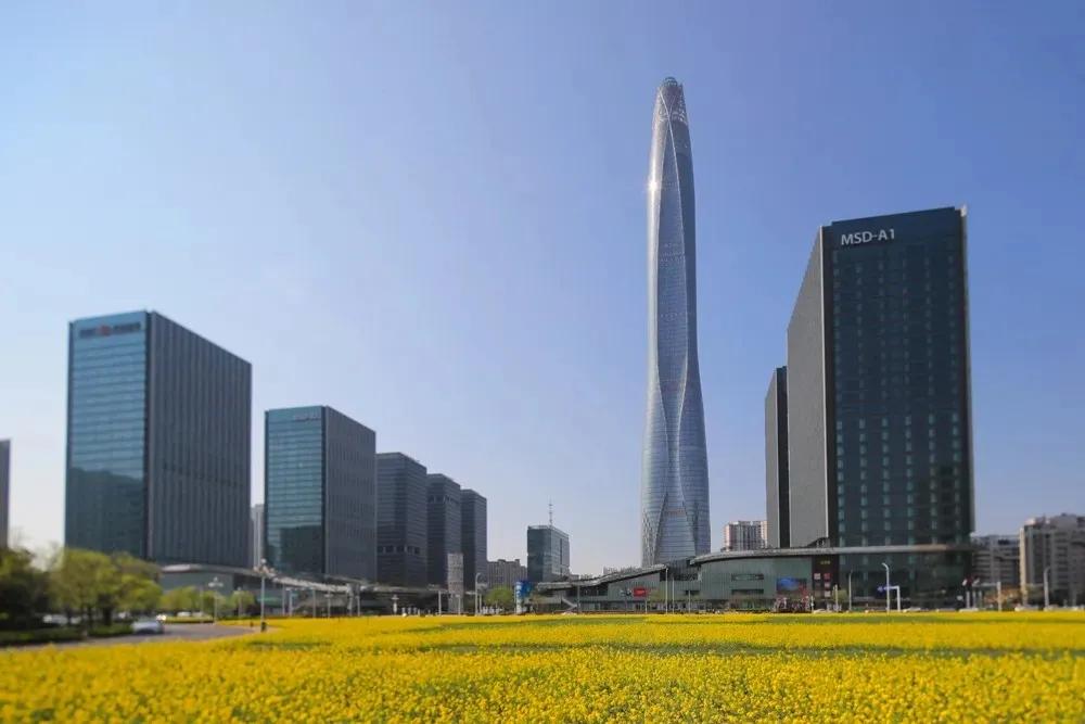 滨海生态城花海,塘沽区滨海花海