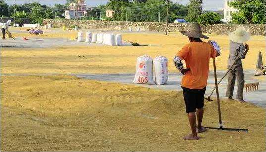 什么蛇皮袋出名,蛇皮袋的历史起源是什么
