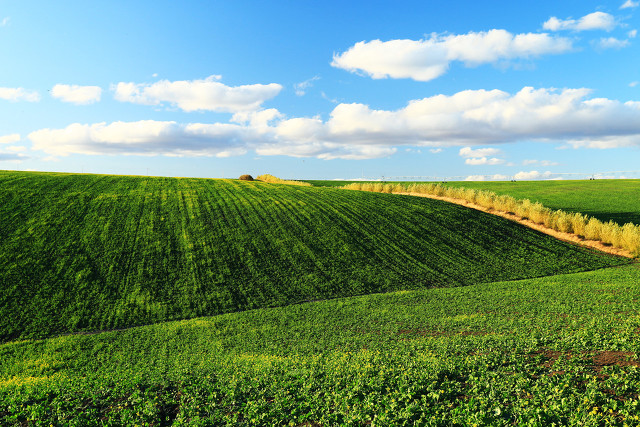 杂文系列六十二：乡村求医记