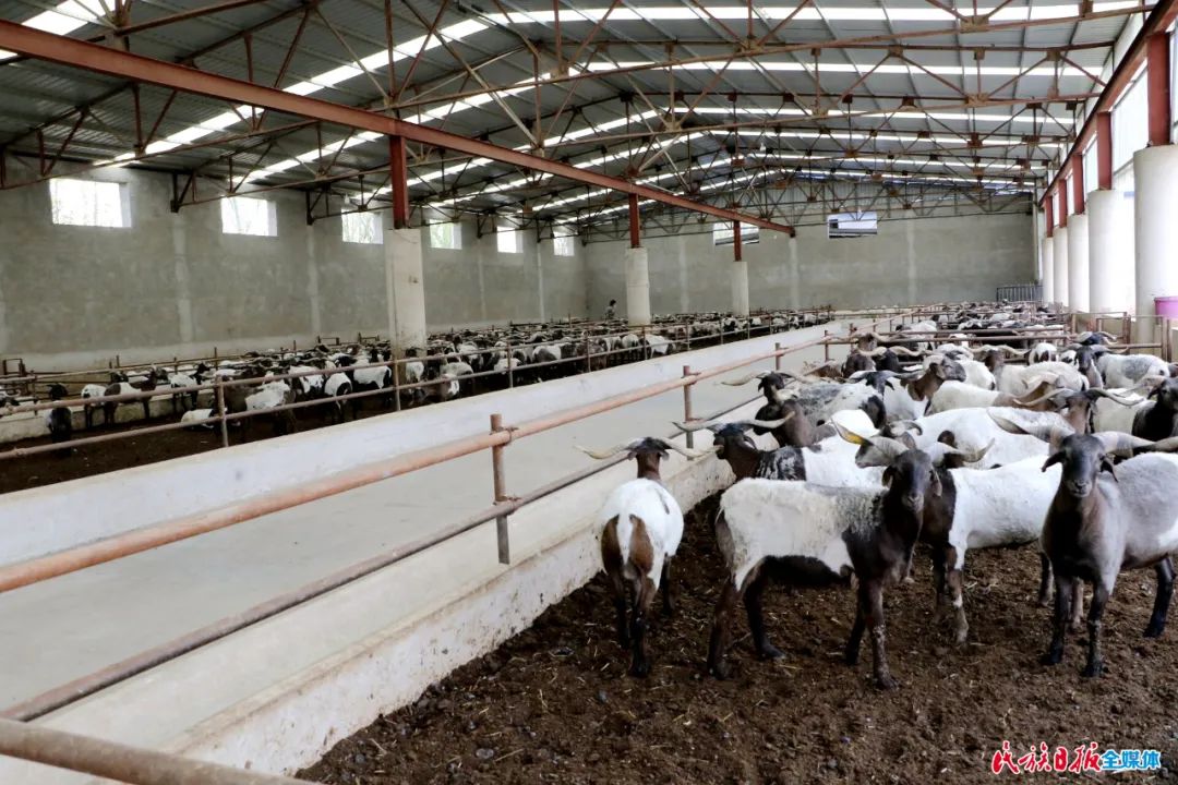 临夏州重点项目谋划情况,临夏州重点工作现场观摩推进会