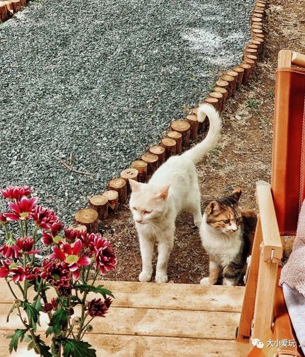 距离北京近的草原房车营地,北京周边房车营地推荐