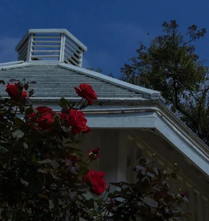 男女主是欢喜冤家，《不可言说的秘密》《她和年级第一我都要》