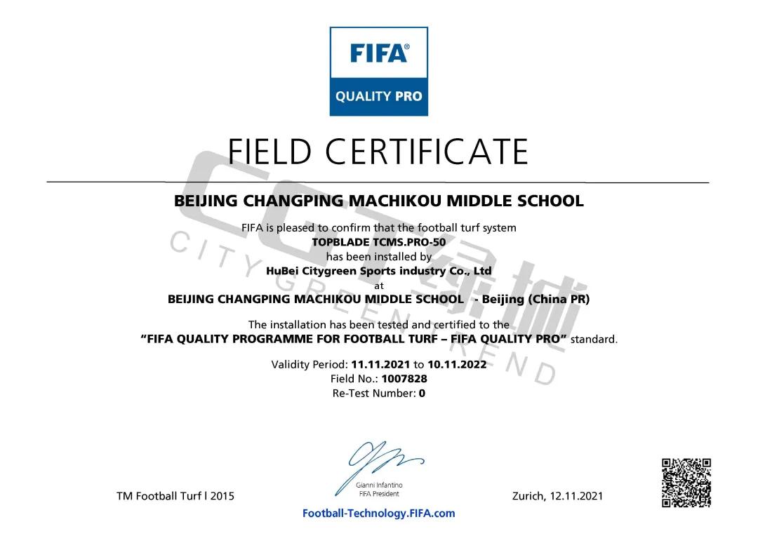 cgt缁垮煄鑻辫秴,cgt缁垮煄浣撹偛浜т笟闆嗗洟