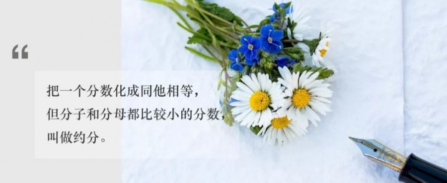 小学数学几何基础概念,小学数学基础知识汇总给孩子收藏