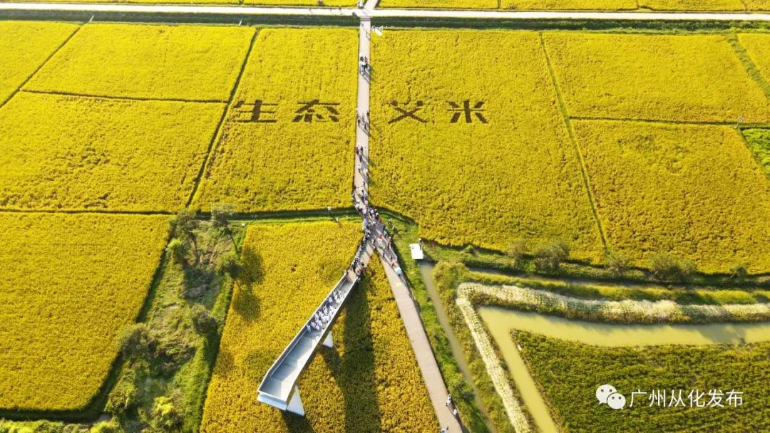 楂樻牎瀛︾敓鐪间腑鐨勫叡闈掑洟,楂樻牎鐢熺溂涓殑鏃朵唬鍙樿縼