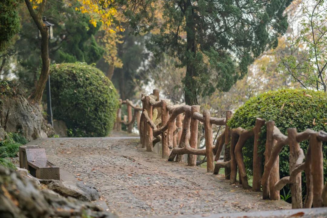 苏州西山农家乐旅游网官网,苏州西山农家乐民宿游