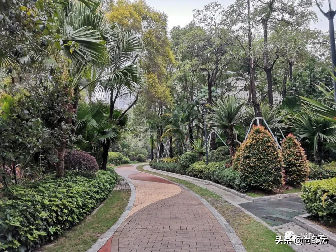 100多万人看过的房子,深圳湾三湘海尚别墅