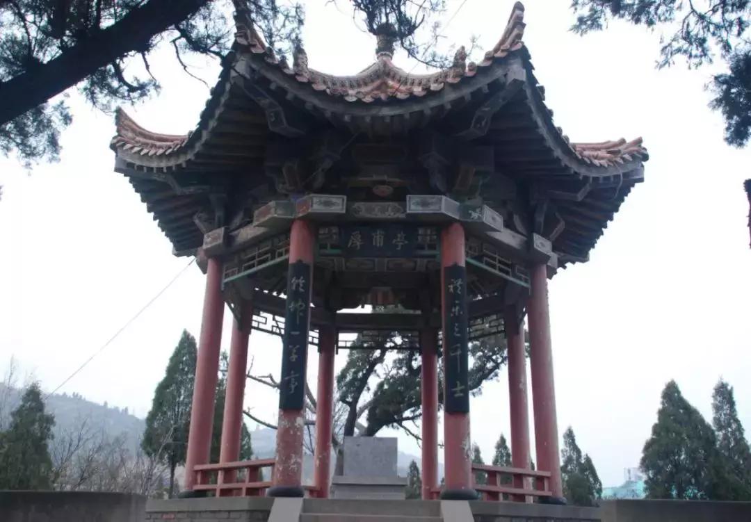 韩城市象山中学杨腾云,韩城市象山中学官网