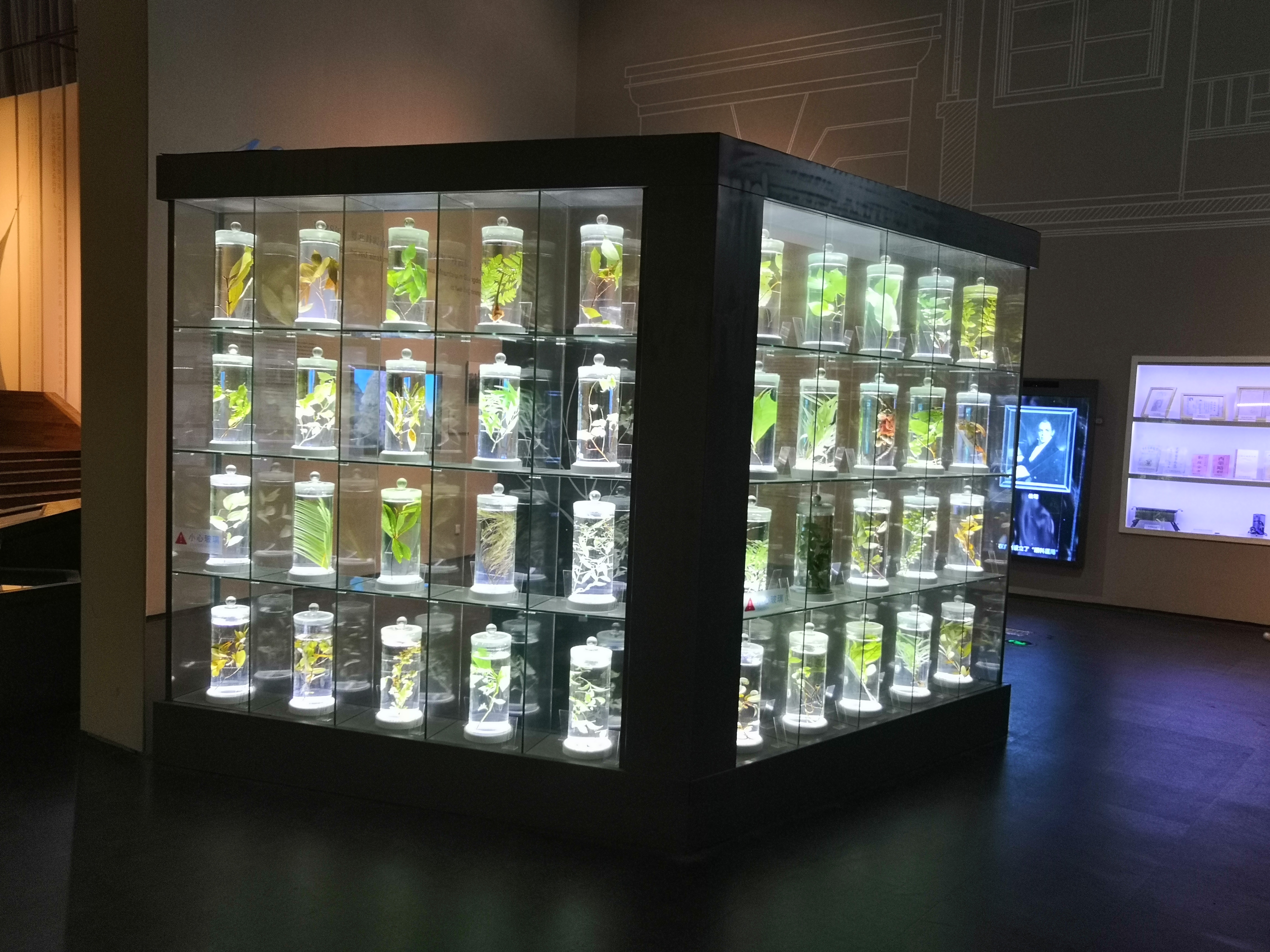 广东科学中心巨幕影院,广东科学中心城际站