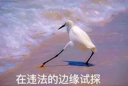 「网上文明」文明上网，杜绝不良行为