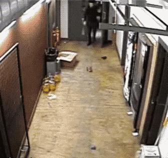 开心一刻:妹子身上的彩绘很逼真