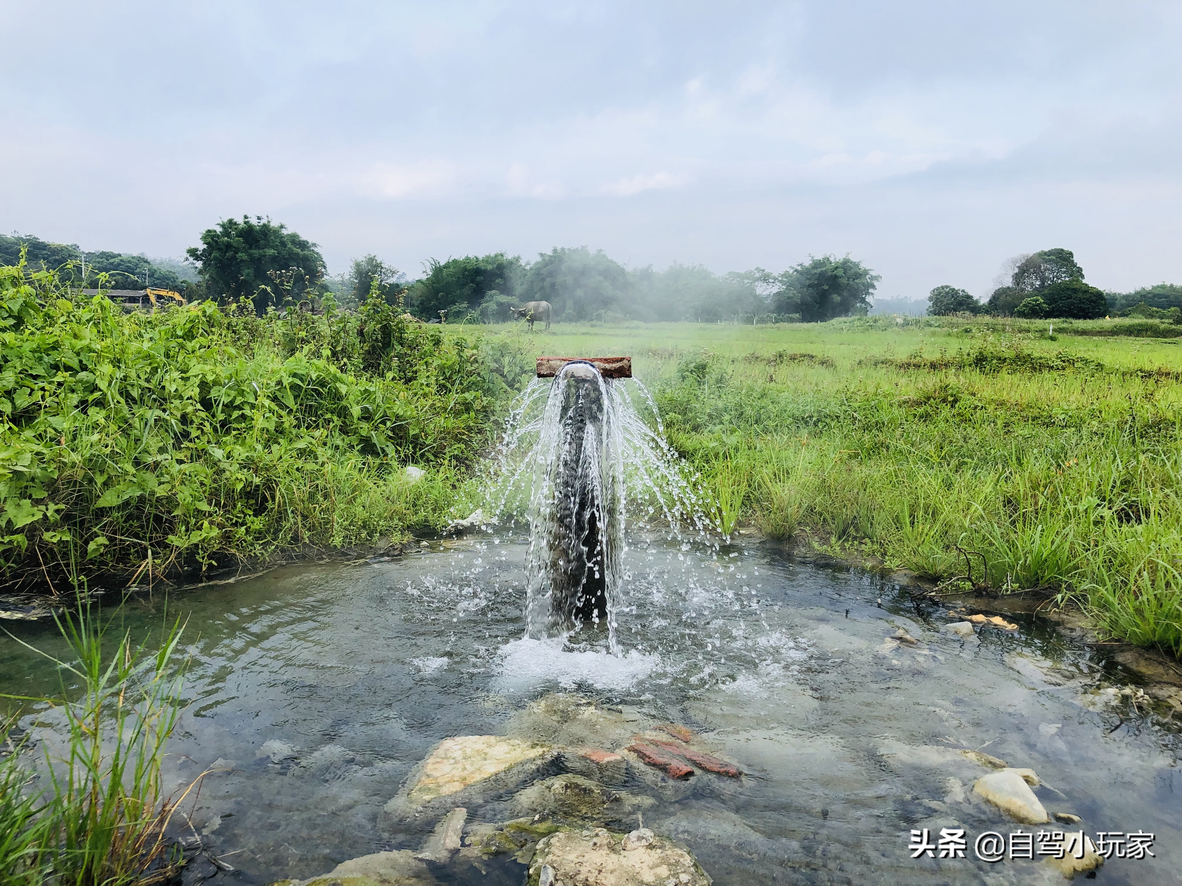 泸州十大天然温泉排名,江阳区温泉人气推荐