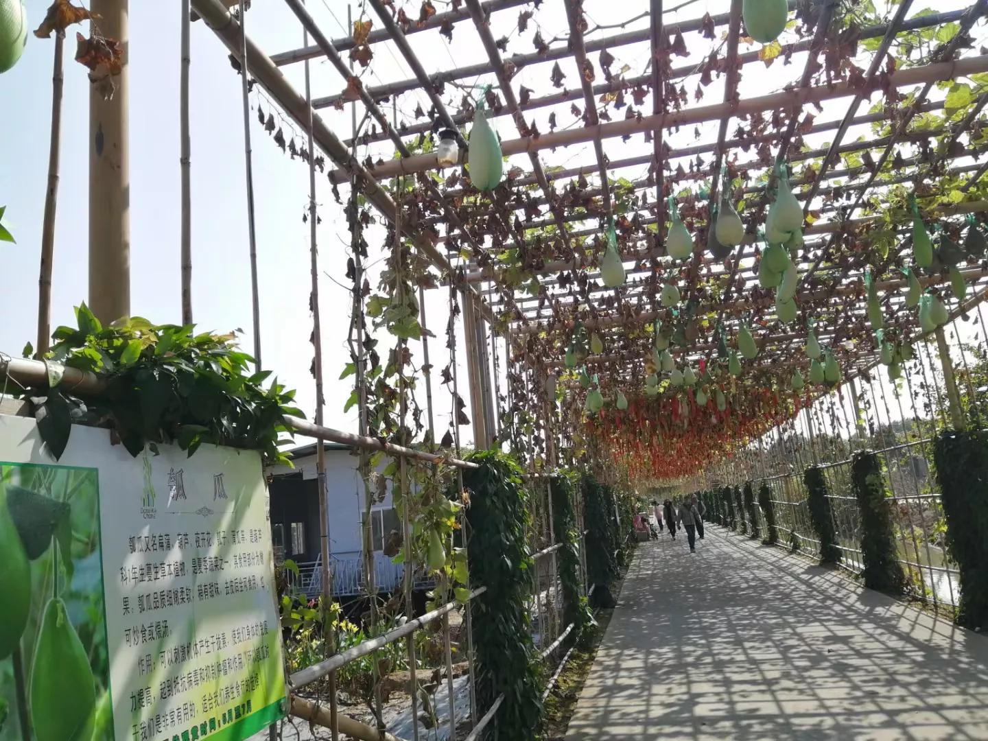 广州地铁3号线旅游攻略图,广州番禺广场地铁站旅游攻略