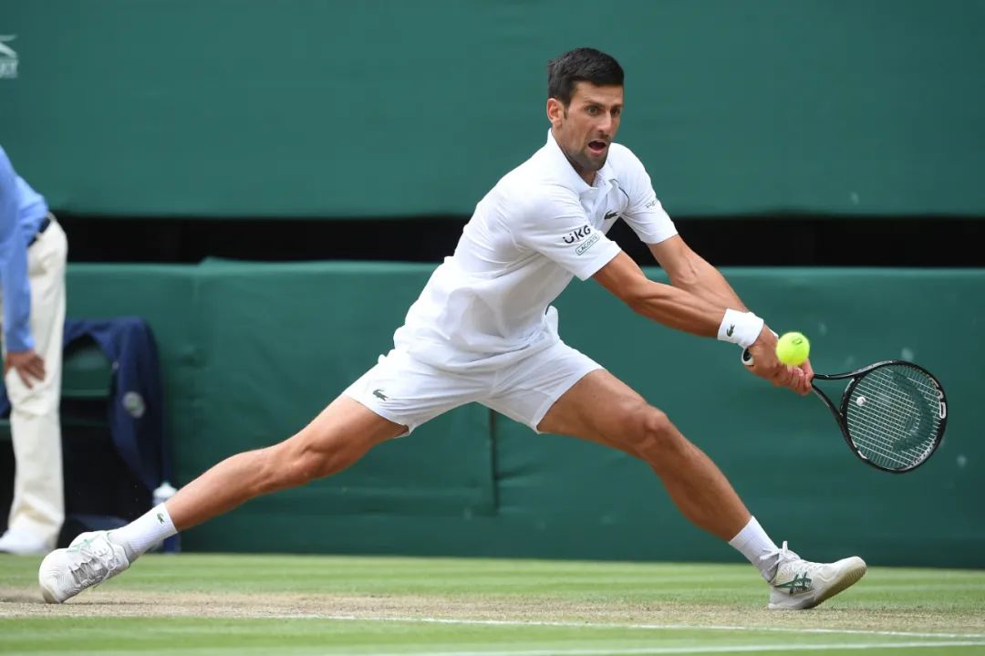 温布尔登称王｜德约科维奇的远方，在更远